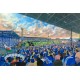 Ninian Park Stadium Fine Art Print - Cardiff City FC